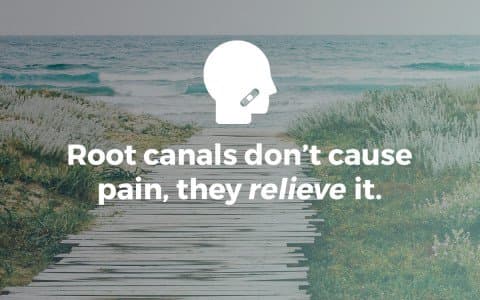 Some Facts About Root Canals